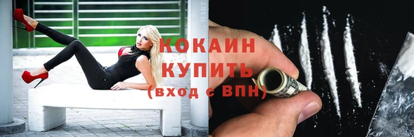 стафф Богородск