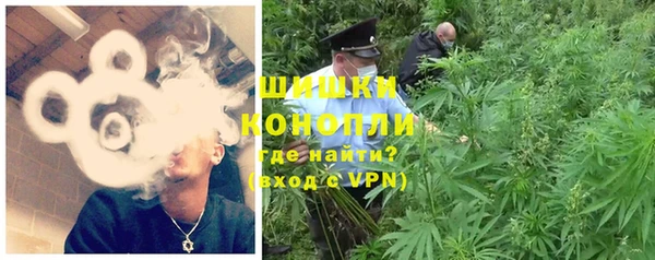 стафф Богородск